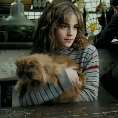 Profile image of hermione granger