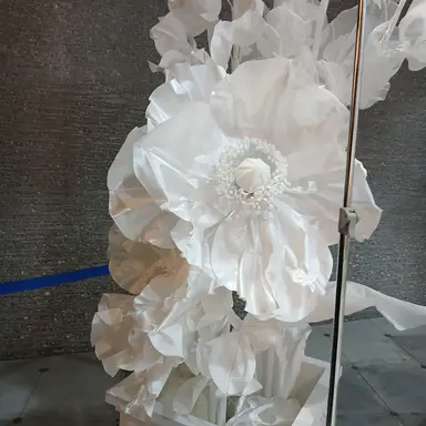 Profile image of 大森元貴