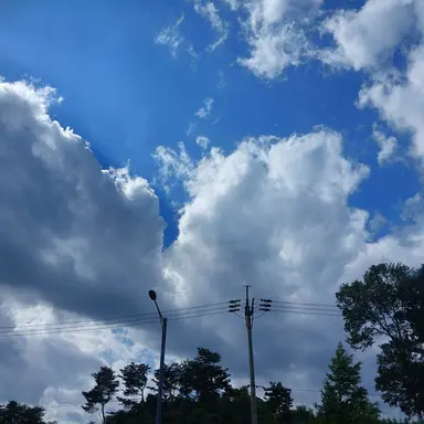 Profile image of 마주