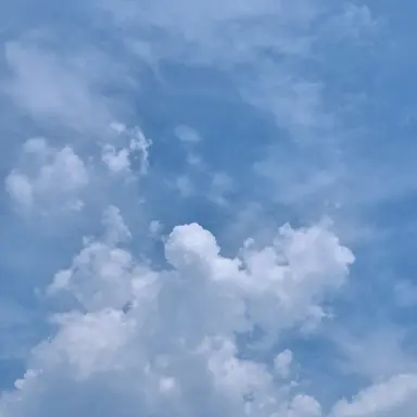 Profile image of ペク・サヒョン