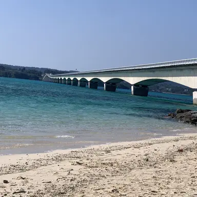 Profile image of 相談員