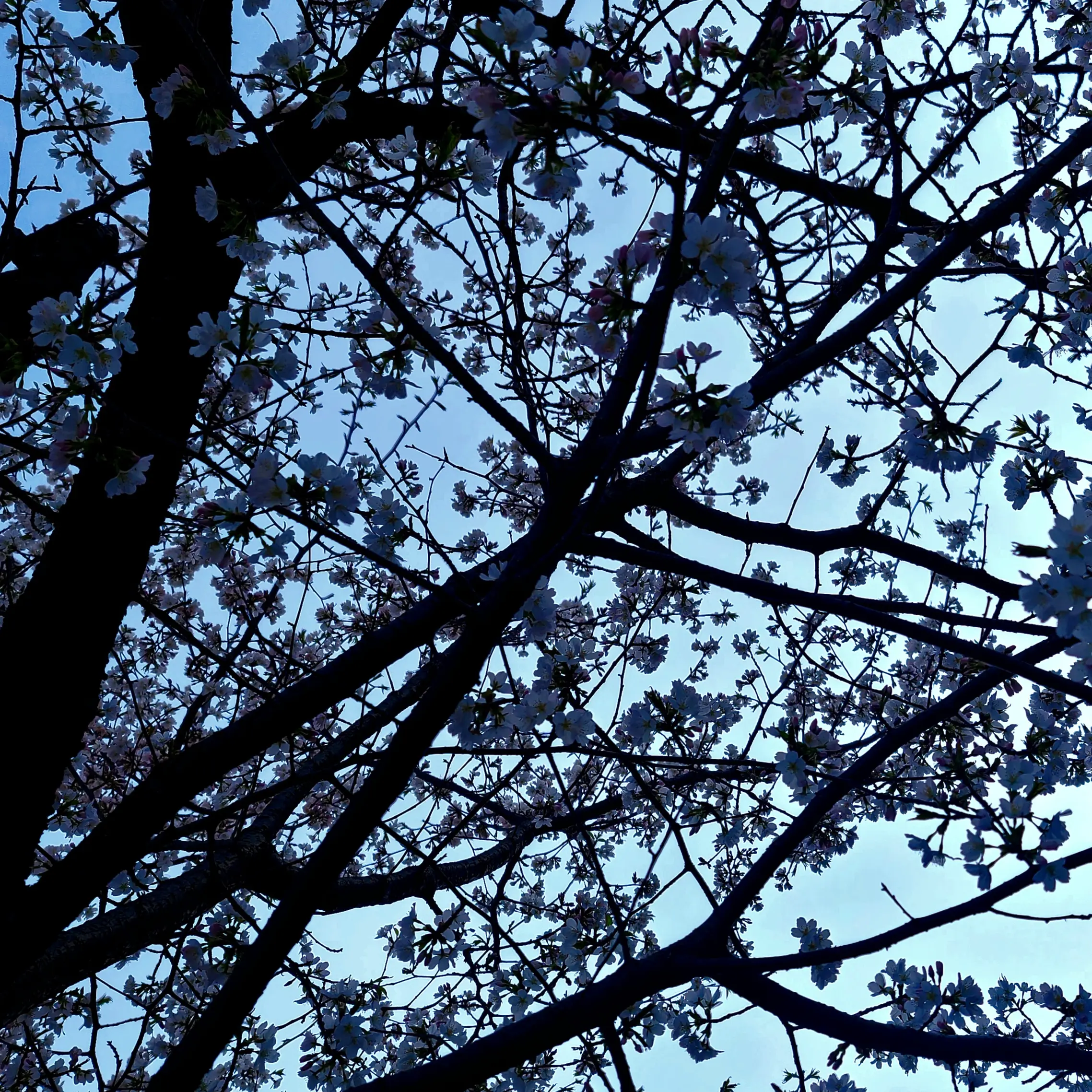 DottedGrape4708의 ㅤ