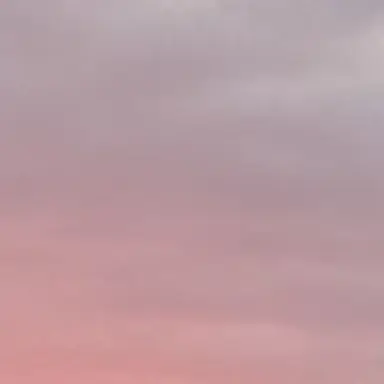 Profile image of 狐月揺太