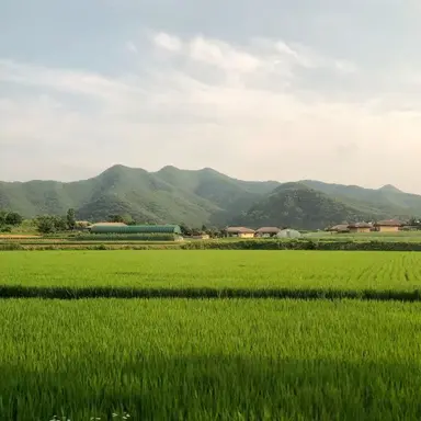 Profile image of 비텐카