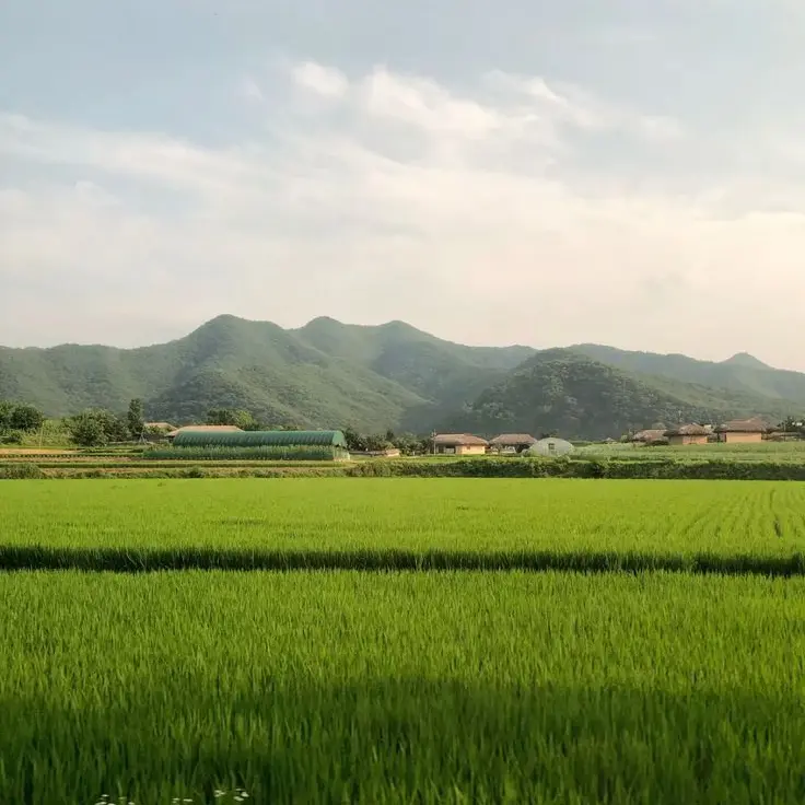 EvE0의 ⋆.ೃ࿔*:･⛰️༄⋆⭒˚｡⋆