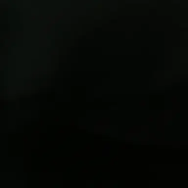 Profile image of Villian SBI