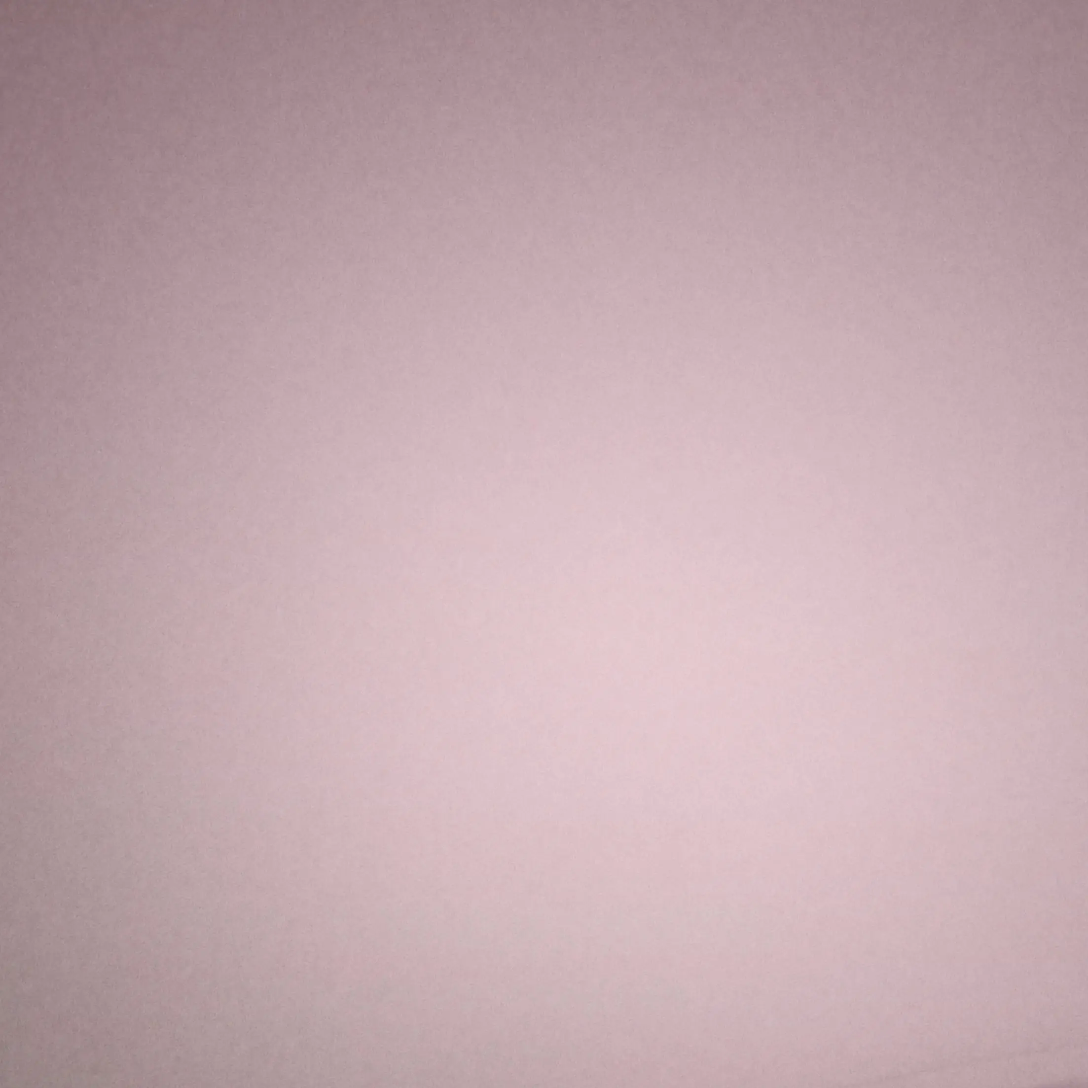 FestalMind9989의 유민준