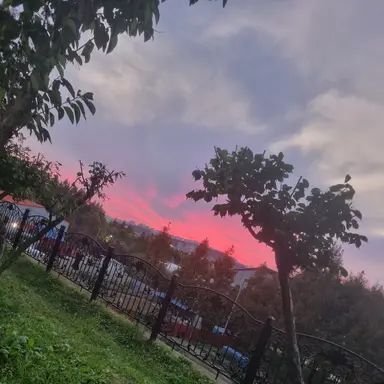 Profile image of 쿠냐