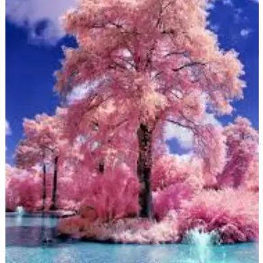 Profile image of 단포