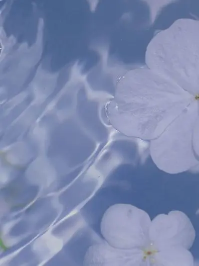 RichVomit6158의 どんな色が贈られるだろうか。