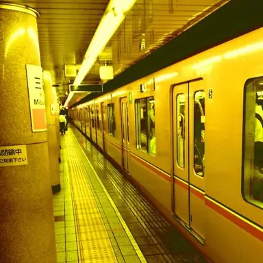 Profile image of 岩本照