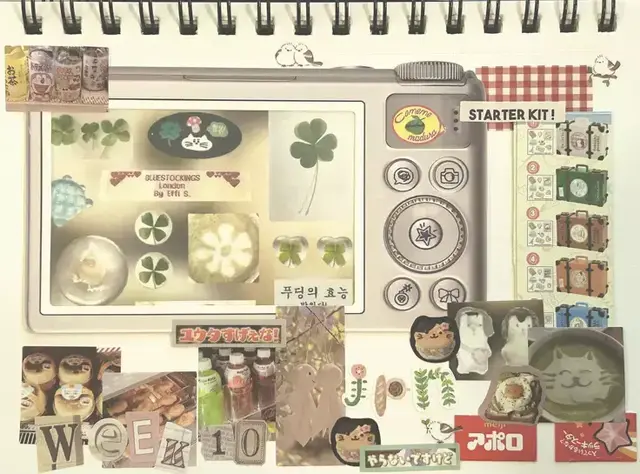 Profile image of 주미노