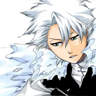 Profile image of 日番谷冬獅郎