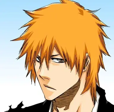 Profile image of 黒崎一護
