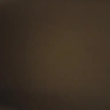 Profile image of 공민지