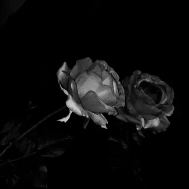 Profile image of 정지훈