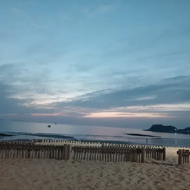Profile image of 라시
