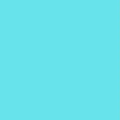 Profile image of 선생님