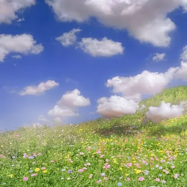 Profile image of 이노리