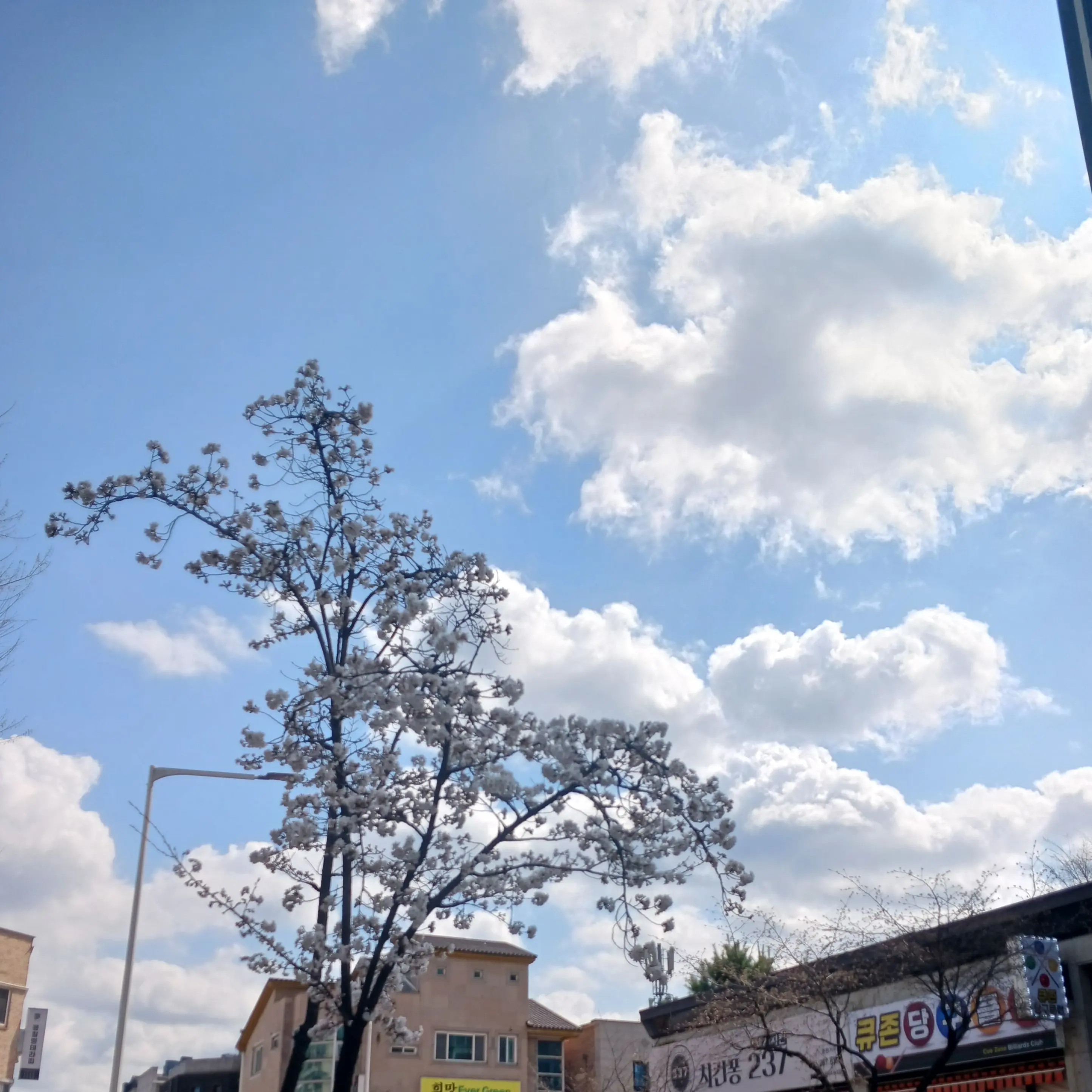 hiru_yeonhi의 나로는 충족이 안되는 거야?