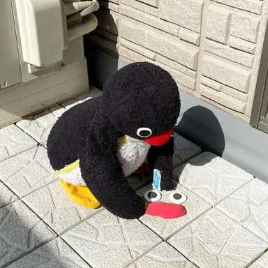 Profile image of 최시훈