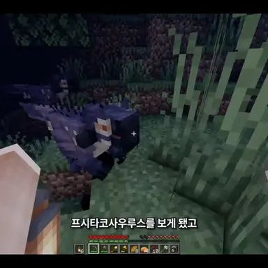 Profile image of 푸시타코 사우르스