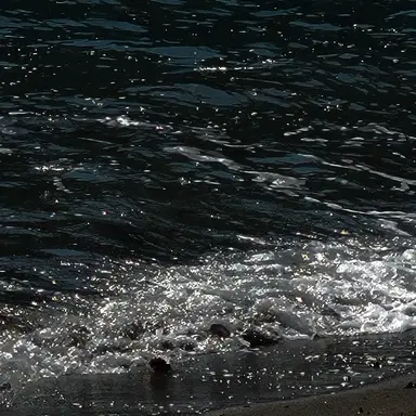 Profile image of 김솔음