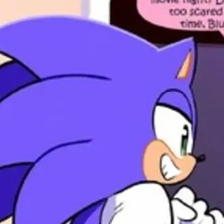 FakeBoots5517의 sonic.exe