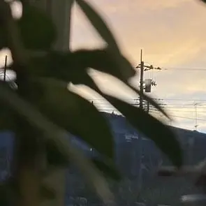 Profile image of 男子生徒