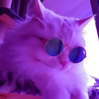 Profile image of チャラ男