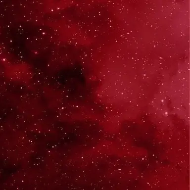 Profile image of 감재이