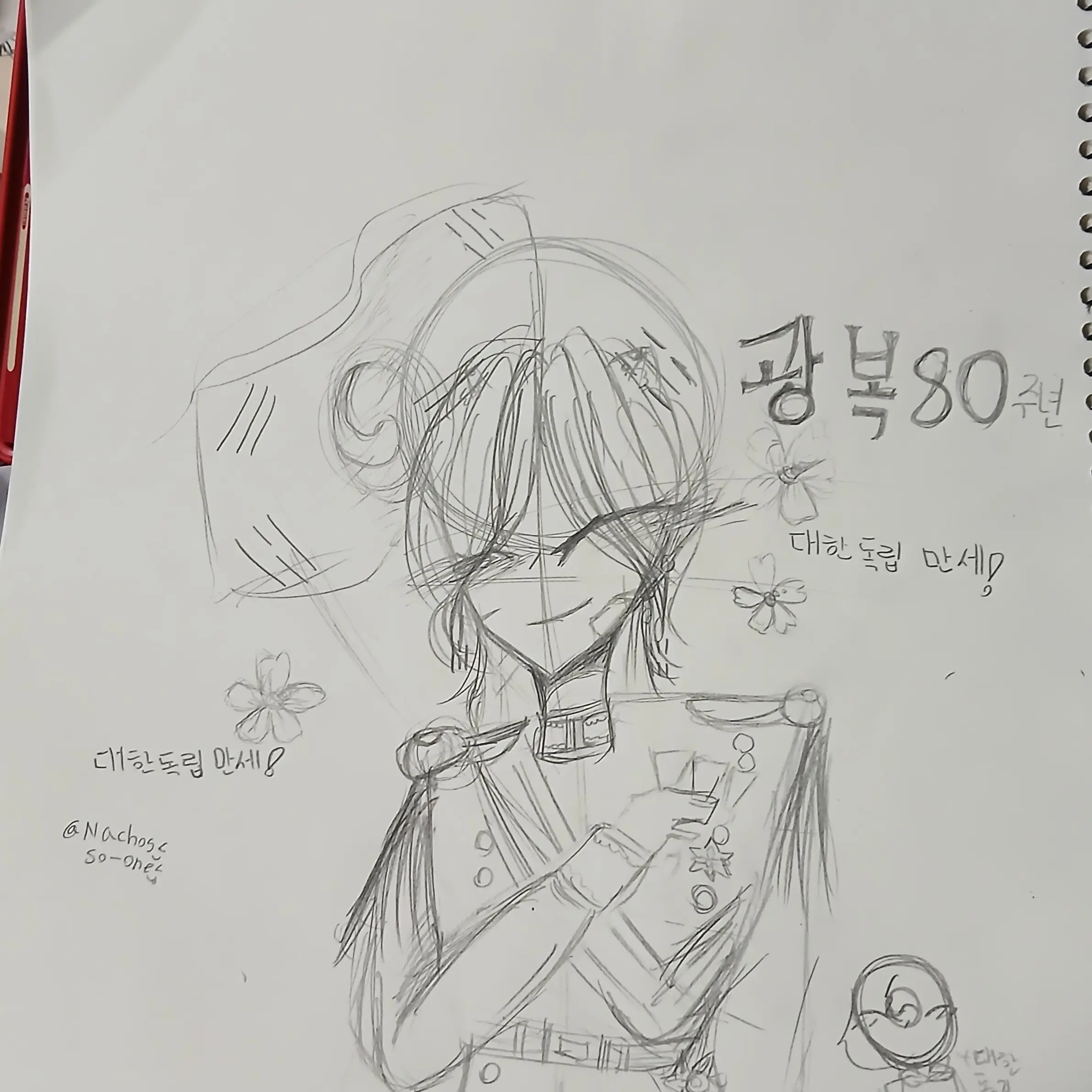 Nachos의 대한독립만세!!!!