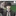 변태고등학교에 입학하신걸 축하합니다