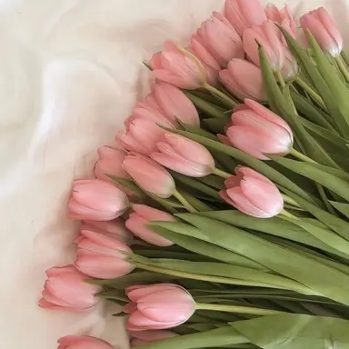 Profile image of 박재영