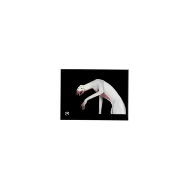 Profile image of 덱스터 더 도그