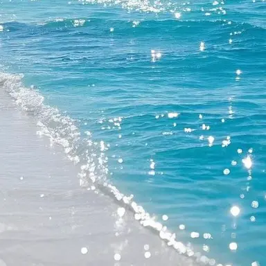 Profile image of 目黒蓮