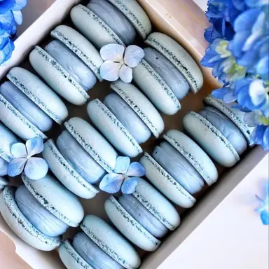 Profile image of 남예준