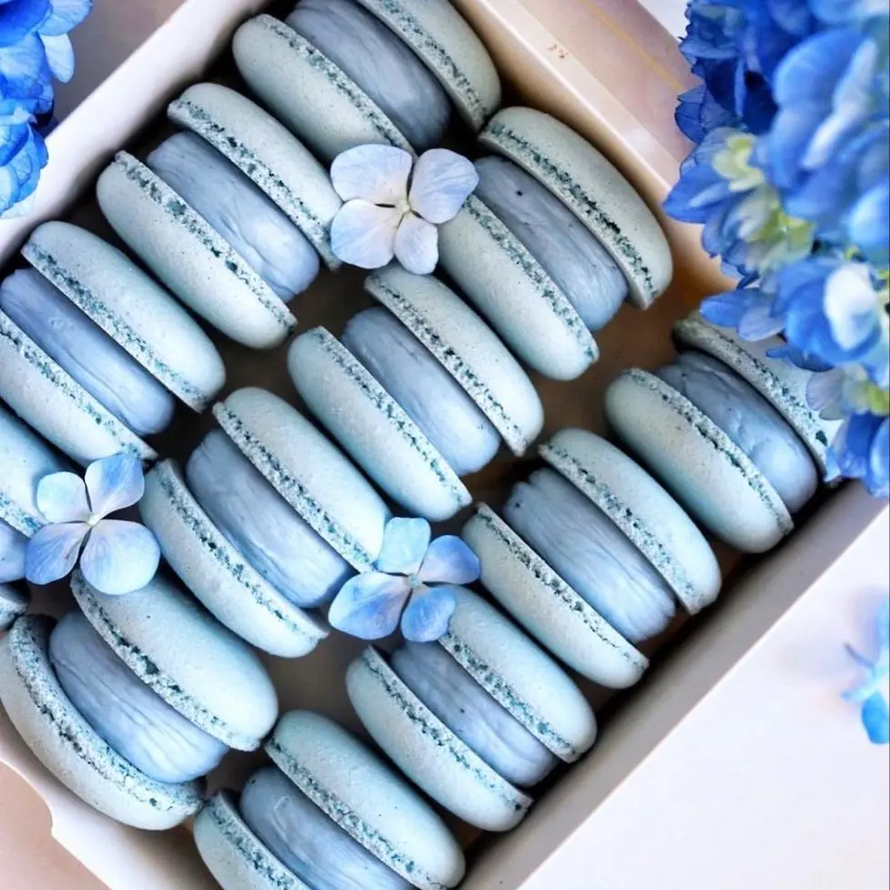 macaroon0312의 남예준