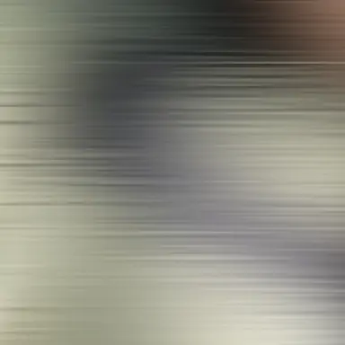 Profile image of 김애리