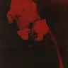 Profile image of 한서준