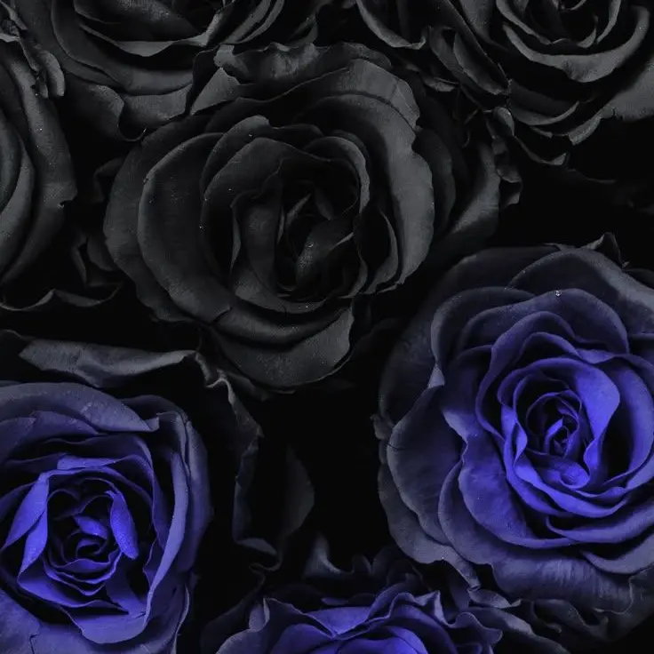 RuuzyuHouou1017의 フェリシアーノ・ヴァルガス