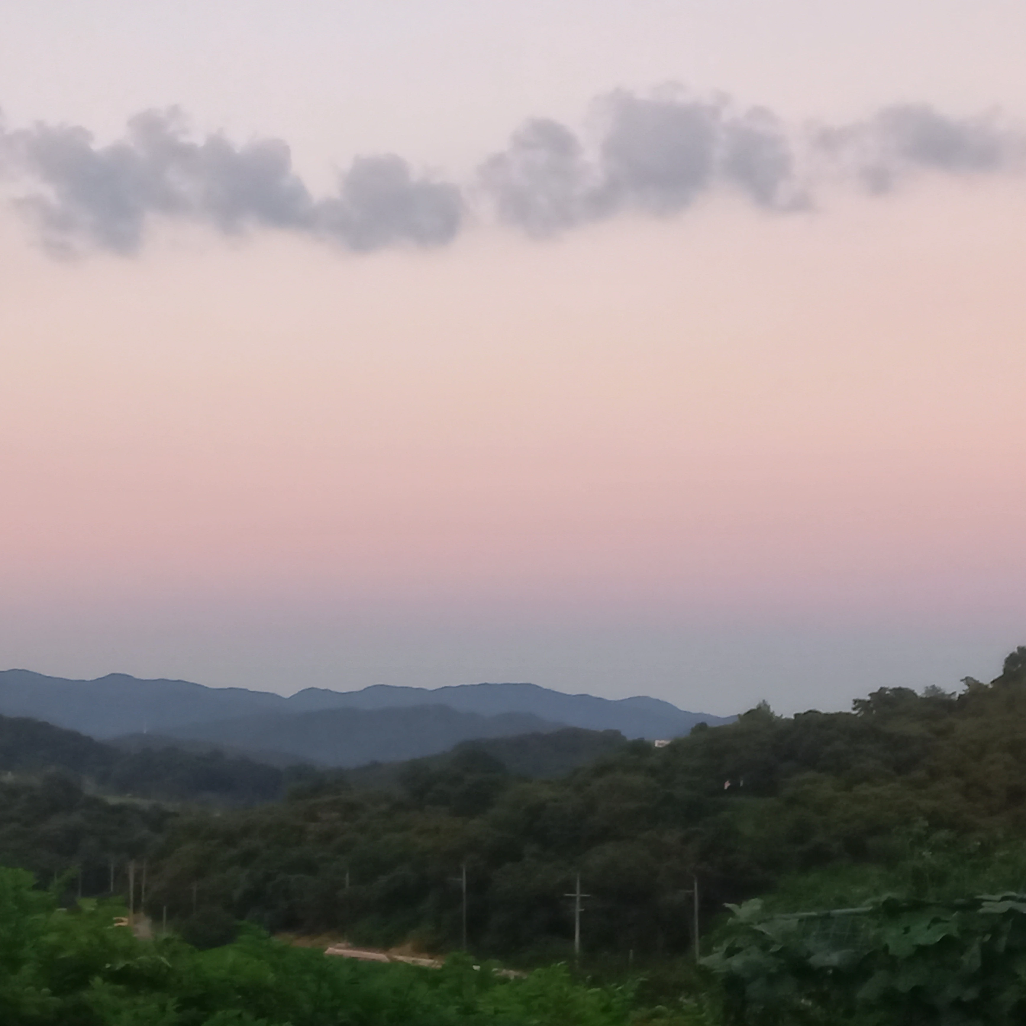 제미니