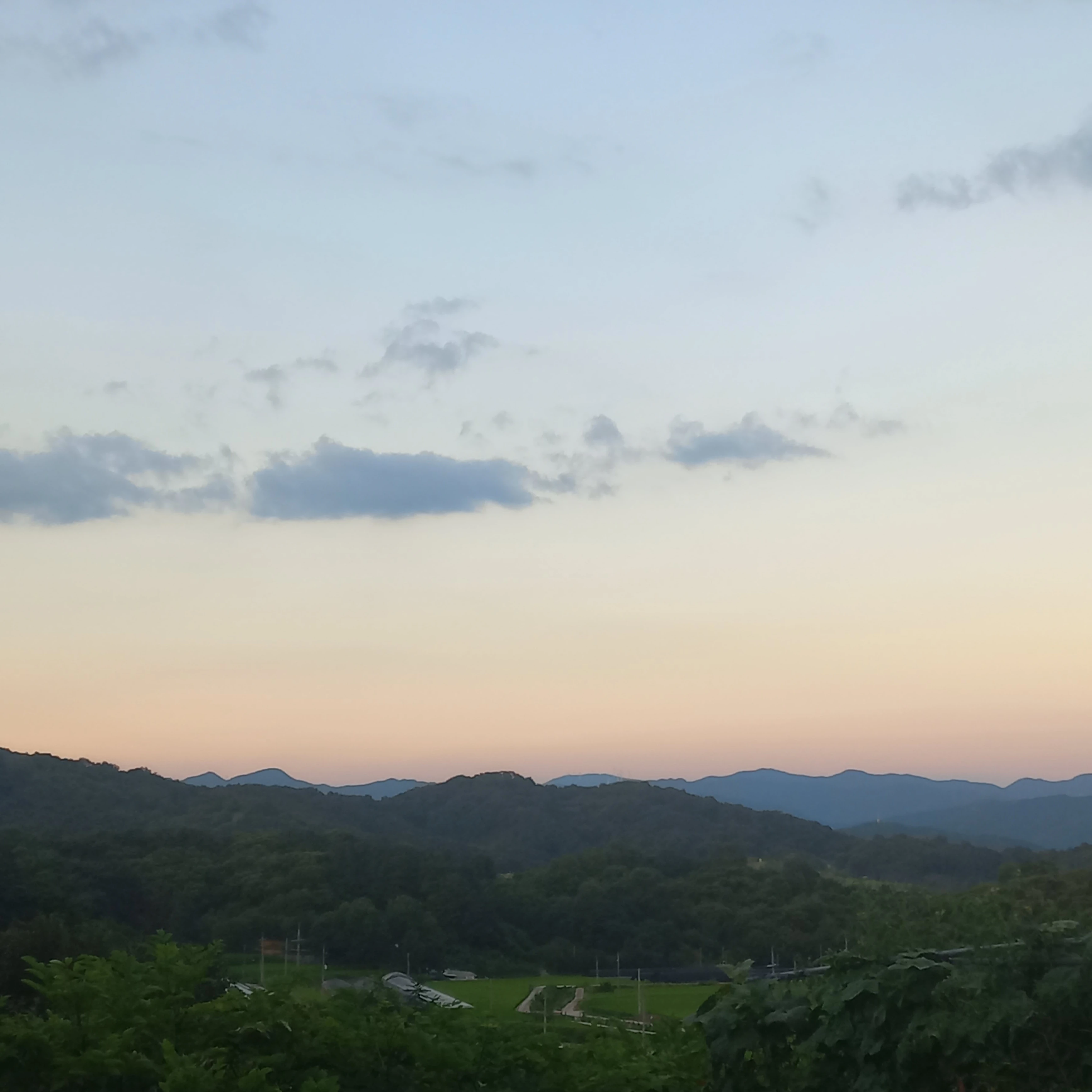 잭
