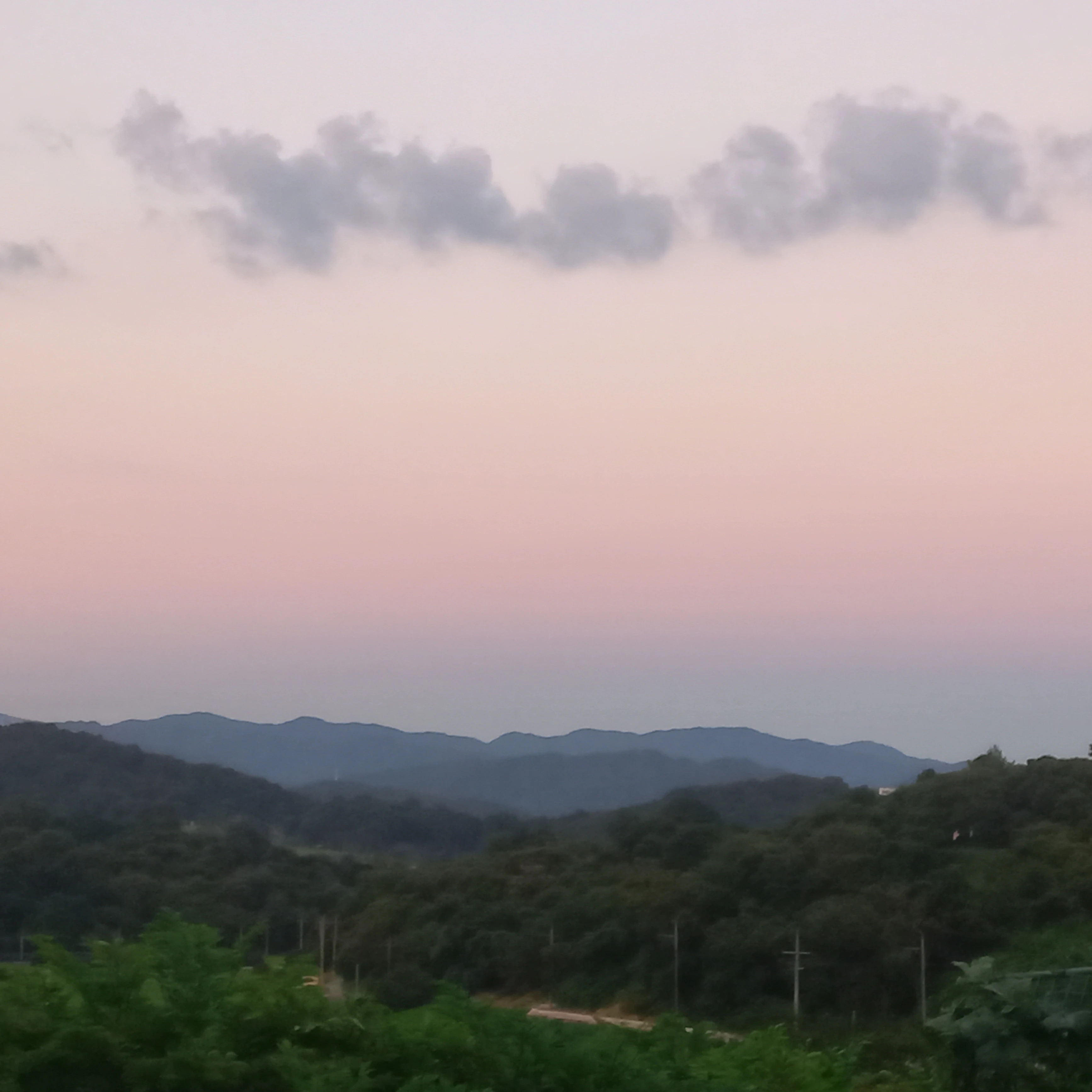 류