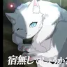 Profile image of ウミミ