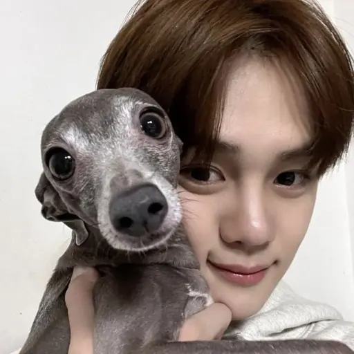 GoldenOlive5802의 김규빈