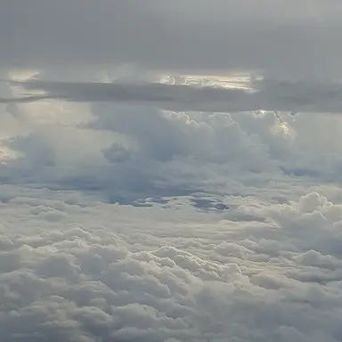 Profile image of 유기사