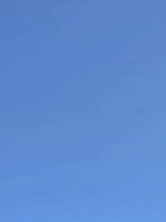 SilverWagon5838의 ㅊㅇㅈ