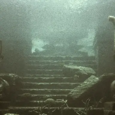 Profile image of 카트린느