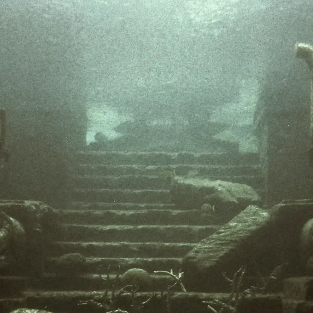 jellyfishS의 카트린느